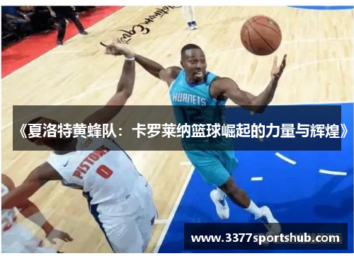 《夏洛特黄蜂队：卡罗莱纳篮球崛起的力量与辉煌》