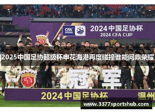 2025中国足协超级杯申花海港再度碰撞谁能问鼎荣耀