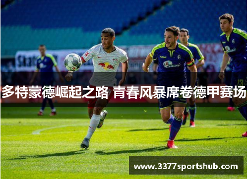 多特蒙德崛起之路 青春风暴席卷德甲赛场