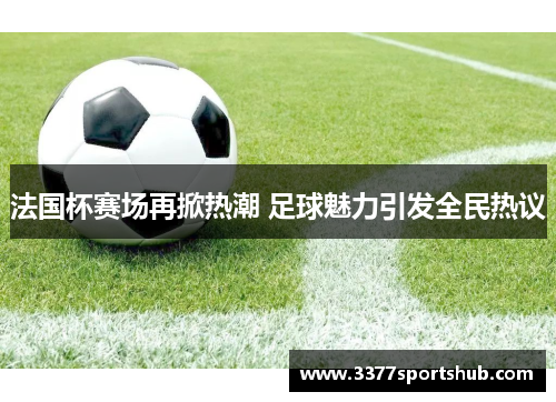 法国杯赛场再掀热潮 足球魅力引发全民热议