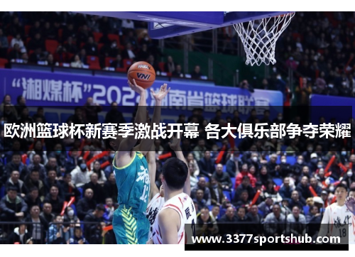 欧洲篮球杯新赛季激战开幕 各大俱乐部争夺荣耀