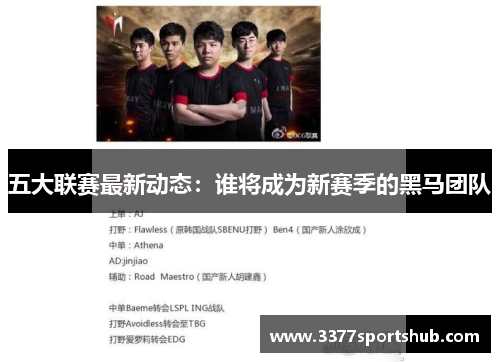 五大联赛最新动态：谁将成为新赛季的黑马团队